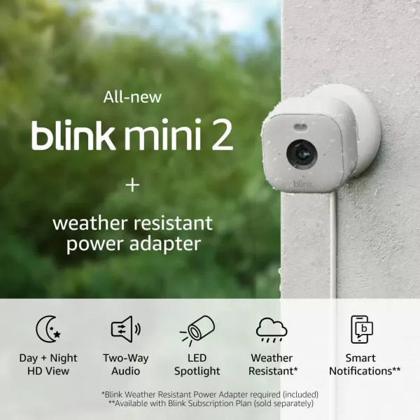 AllNew Blink Mini 2 with 1Year Plus Subscription  Plugin smart security camera HD night view in color builtin spotlight motion detection Works with Alexa  2 Cameras BlackWhite