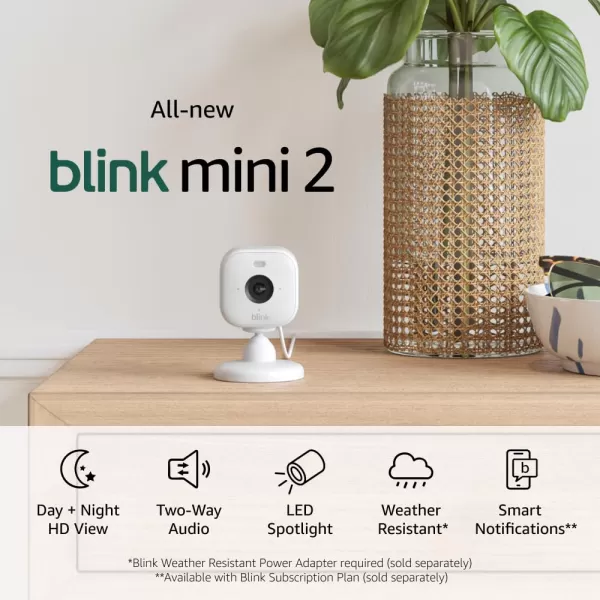 AllNew Blink Mini 2 with 1Year Plus Subscription  Plugin smart security camera HD night view in color builtin spotlight motion detection Works with Alexa  2 Cameras BlackWhite