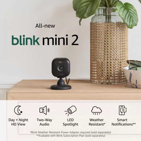 AllNew Blink Mini 2 with 1Year Plus Subscription  Plugin smart security camera HD night view in color builtin spotlight motion detection Works with Alexa  2 Cameras BlackBlack
