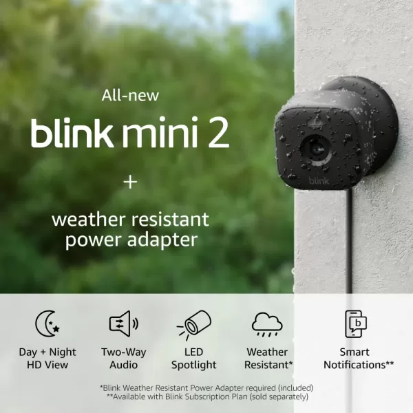 AllNew Blink Mini 2 with 1Year Plus Subscription  Plugin smart security camera HD night view in color builtin spotlight motion detection Works with Alexa  2 Cameras BlackBlack