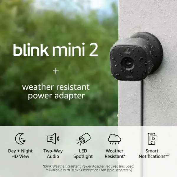 AllNew Blink Mini 2 with 1Year Plus Subscription  Plugin smart security camera HD night view in color builtin spotlight motion detection Works with Alexa  2 Cameras BlackBlack