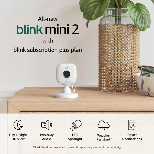 AllNew Blink Mini 2 with 1Year Plus Subscription  Plugin smart security camera HD night view in color builtin spotlight motion detection Works with Alexa  2 Cameras BlackWhite