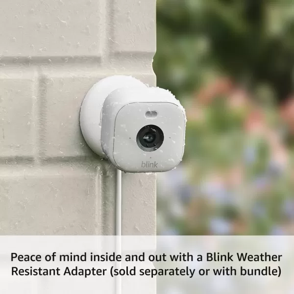 AllNew Blink Mini 2 with 1Year Plus Subscription  Plugin smart security camera HD night view in color builtin spotlight motion detection Works with Alexa  2 Cameras BlackWhite