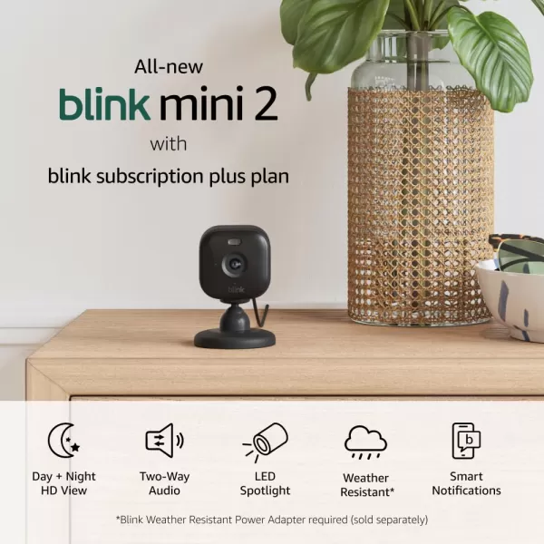 AllNew Blink Mini 2 with 1Year Plus Subscription  Plugin smart security camera HD night view in color builtin spotlight motion detection Works with Alexa  2 Cameras BlackBlack