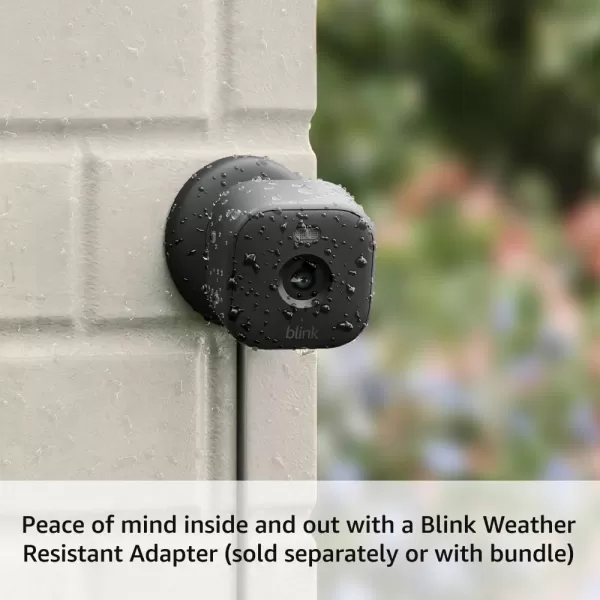 AllNew Blink Mini 2 with 1Year Plus Subscription  Plugin smart security camera HD night view in color builtin spotlight motion detection Works with Alexa  2 Cameras BlackBlack