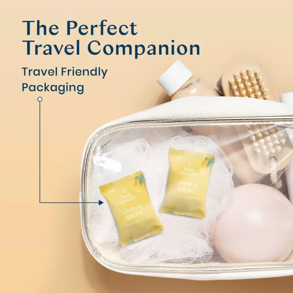 Body Restore Shower Steamers Aromatherapy 6 Pack  Relaxation Birthday Gifts for Women and Men Travel Essentials Stress Relief and Self Care  CitrusCitrus 15 Pack