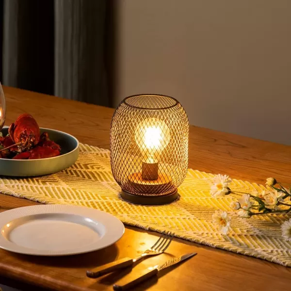 DECORKEY Set of 4 Battery Operated Lamp LED Table Lantern Brown Metal Cage Cordless Lamps with LED BulbVintage Decorative Outdoor Lantern for Weddings Parties Patio Events for Indoors Shelf Decor2 PACK EGG SHAPE  BROWN