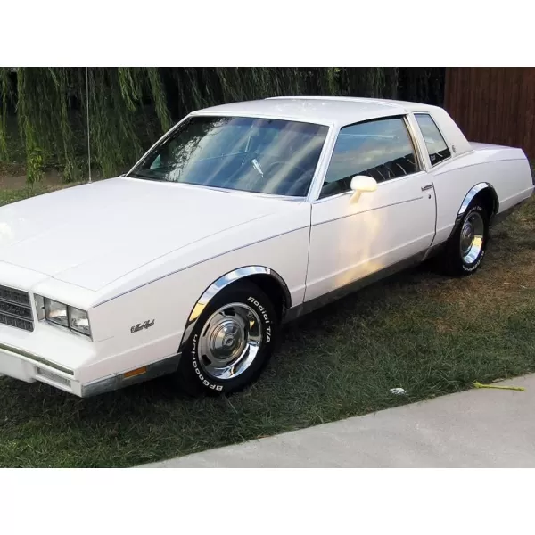 imageAPS 9802 Crown Victoria GLGrand Marquis GS Fender Trim