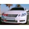 imageCompatible with 20052007 GS 430 07 GS 350 GS 450H Billet Grille Combo S18A76876T