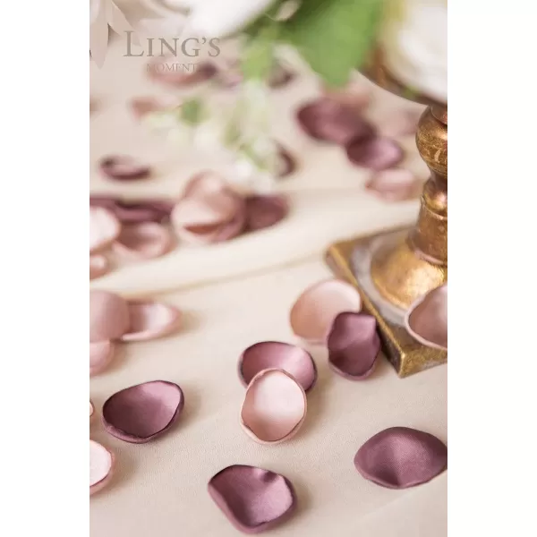 imageLings Moment 200pcs Rose Petals Silk Flower Petals for WeddingAisleFlower Girl BasketsTable Centerpiece DcoretcBlackPkdusty Rose  Mauve
