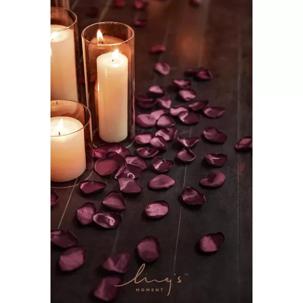 imageLings Moment 200pcs Rose Petals Silk Flower Petals for WeddingAisleFlower Girl BasketsTable Centerpiece DcoretcBlackRedred  Burgundy