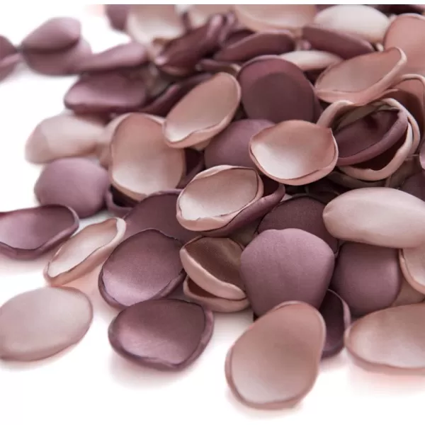 imageLings Moment 200pcs Rose Petals Silk Flower Petals for WeddingAisleFlower Girl BasketsTable Centerpiece DcoretcBlackPkdusty Rose  Mauve