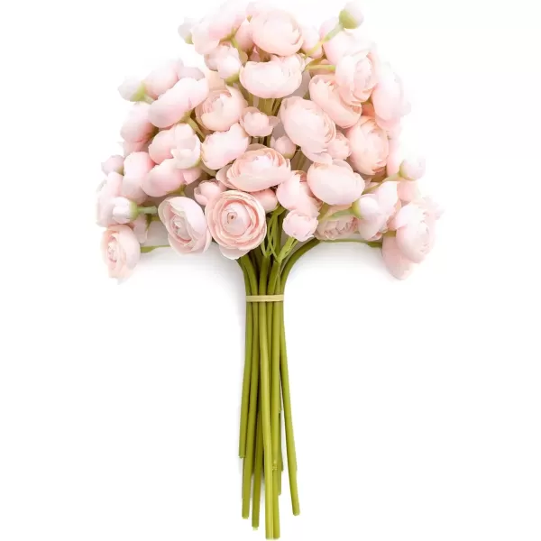 Shabby Blush