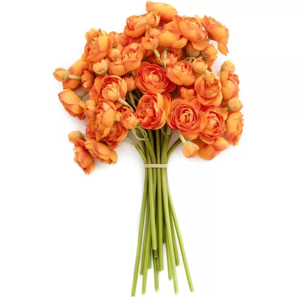 Citrus Orange