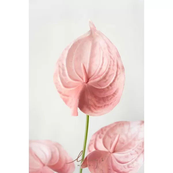 imageLings Moment Anthurium Artificial Flowers 8pcs Faux Anthurium Stems PU Foam Greenery Plant for DIY Wedding Bouquets Centerpieces Arrangements Bridal Shower Party Home Decorations Navy BlueShabby Blush