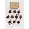 imageLings Moment Boutonniere for Men 10pcs Groomsmen Guest Boutonniere Artificial Flowers for Wedding DcorPromHomecomingetcBlack Gothic BurgundyBlkblack  Gothic Burgundy