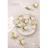 imageLings Moment Boutonniere for Men 10pcs Groomsmen Guest Boutonniere Artificial Flowers for Wedding DcorPromHomecomingetcBlush Coral Peach PinkPkblush  Pink