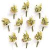 imageLings Moment Boutonniere for Men 10pcs Groomsmen Guest Boutonniere Artificial Flowers for Wedding DcorPromHomecomingetcBlack Gothic BurgundyWhtemerald Green  Beige