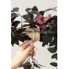 imageLings Moment 65FT Backdrop Floral Garland Artificial Wedding Arch Flowers Sage Green Decor Pink Ceremony Reception Hanging Eucalyptus Rose Arbor Arrangement Outdoor Party Swag Home DecorationsRedmoody Burgundy  Black