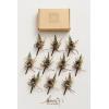 imageLings Moment Boutonniere for Men 10pcs Groomsmen Guest Boutonniere Artificial Flowers for Wedding DcorPromHomecomingetcBeigeOrdark Teal  Orange