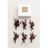 imageLings Moment Boutonniere for Men 6pcs Groom Groomsmen Boutonniere Artificial Flowers for Wedding DecorPromHomecoming etcWalnut BrownBlkblack  Gothic Burgundy