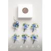 imageLings Moment Boutonniere for Men 6pcs Groom Groomsmen Boutonniere Artificial Flowers for Wedding DecorPromHomecoming etcWalnut BrownBluprovence Blue  Berry