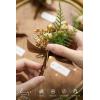 imageLings Moment Boutonniere for Men 6pcs Groom Groomsmen Boutonniere Artificial Flowers for Wedding DecorPromHomecoming etcWalnut BrownBrnwalnut Brown