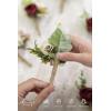 imageLings Moment Boutonniere for Men 6pcs Groom Groomsmen Boutonniere Artificial Flowers for Wedding DecorPromHomecoming etcWalnut BrownBurburgundy  White
