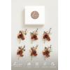 imageLings Moment Boutonniere for Men 6pcs Groom Groomsmen Boutonniere Artificial Flowers for Wedding DecorPromHomecoming etcWalnut BrownOrterracotta  Orange