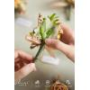 imageLings Moment Boutonniere for Men 6pcs Groom Groomsmen Boutonniere Artificial Flowers for Wedding DecorPromHomecoming etcWalnut BrownOryellow Apricot  Peach