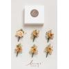 imageLings Moment Boutonniere for Men 6pcs Groom Groomsmen Boutonniere Artificial Flowers for Wedding DecorPromHomecoming etcWalnut BrownOryellow Apricot  Peach