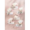 imageLings Moment Boutonniere for Men 6pcs Groom Groomsmen Boutonniere Artificial Flowers for Wedding DecorPromHomecoming etcWalnut BrownPkcream  Blush