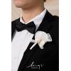 imageLings Moment Boutonniere for Men 6pcs Groom Groomsmen Boutonniere Artificial Flowers for Wedding DecorPromHomecoming etcWalnut BrownPkcream  Blush
