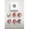 imageLings Moment Boutonniere for Men 6pcs Groom Groomsmen Boutonniere Artificial Flowers for Wedding DecorPromHomecoming etcWalnut BrownPkdusty Rose  Mauve