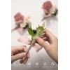 imageLings Moment Boutonniere for Men 6pcs Groom Groomsmen Boutonniere Artificial Flowers for Wedding DecorPromHomecoming etcWalnut BrownPkdusty Rose  Mauve