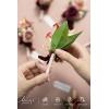 imageLings Moment Boutonniere for Men 6pcs Groom Groomsmen Boutonniere Artificial Flowers for Wedding DecorPromHomecoming etcWalnut BrownPkmarsala  Dusty Rose
