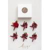 imageLings Moment Boutonniere for Men 6pcs Groom Groomsmen Boutonniere Artificial Flowers for Wedding DecorPromHomecoming etcWalnut BrownRedburgundy  Red