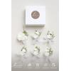 imageLings Moment Boutonniere for Men 6pcs Groom Groomsmen Boutonniere Artificial Flowers for Wedding DecorPromHomecoming etcWalnut BrownWhtsnow White