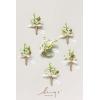 imageLings Moment Boutonniere for Men 6pcs Groom Groomsmen Boutonniere Artificial Flowers for Wedding DecorPromHomecoming etcWalnut BrownWhtwhite  Lily  Olive