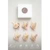 imageLings Moment Boutonniere for Men 6pcs Groom Groomsmen Boutonniere Artificial Flowers for Wedding DecorPromHomecoming etcWalnut BrownWhtwhite  Nude