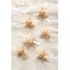 imageLings Moment Boutonniere for Men 6pcs Groom Groomsmen Boutonniere Artificial Flowers for Wedding DecorPromHomecoming etcWalnut BrownWhtwhite  Nude