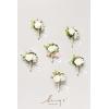 imageLings Moment Boutonniere for Men 6pcs Groom Groomsmen Boutonniere Artificial Flowers for Wedding DecorPromHomecoming etcWalnut BrownWhtwhite Baby Breath  Ivory