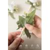 imageLings Moment Boutonniere for Men 6pcs Groom Groomsmen Boutonniere Artificial Flowers for Wedding DecorPromHomecoming etcWalnut BrownWhtwhite Ranunculus  Pearl
