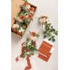 imageLings Moment PreArranged Wedding Flower Packages in Sunset TerracottaCeremony Decor Package Set of 15
