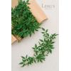 imageLings Momemnt Italian Ruscus Artificial Plants Vines58ft Detachable Hanging Laurel Leaves Greenery Garland Realistic Texture Filler Decor for RoomWallOffice Wedding Arrangement OutdoorShelf1125x 7Pcs