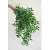 imageLings Momemnt Italian Ruscus Artificial Plants Vines58ft Detachable Hanging Laurel Leaves Greenery Garland Realistic Texture Filler Decor for RoomWallOffice Wedding Arrangement OutdoorShelf1125x 7Pcs