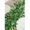 imageLings Momemnt Italian Ruscus Artificial Plants Vines58ft Detachable Hanging Laurel Leaves Greenery Garland Realistic Texture Filler Decor for RoomWallOffice Wedding Arrangement OutdoorShelf58ft x 1PCS