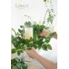 imageLings Moment Artificial Hanging Rose Leaf Garland 1378ft Detachable Lanterns Vines Decoration Realistic Texture Wedding Short Wreath Greenery Filler for DIY Floral Arrangement Table CenterpiecesPatina Green