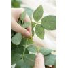 imageLings Moment Artificial Hanging Rose Leaf Garland 1378ft Detachable Lanterns Vines Decoration Realistic Texture Wedding Short Wreath Greenery Filler for DIY Floral Arrangement Table CenterpiecesBasic Green