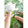 imageLings Moment Artificial Hanging Rose Leaf Garland 1378ft Detachable Lanterns Vines Decoration Realistic Texture Wedding Short Wreath Greenery Filler for DIY Floral Arrangement Table CenterpiecesPatina Green